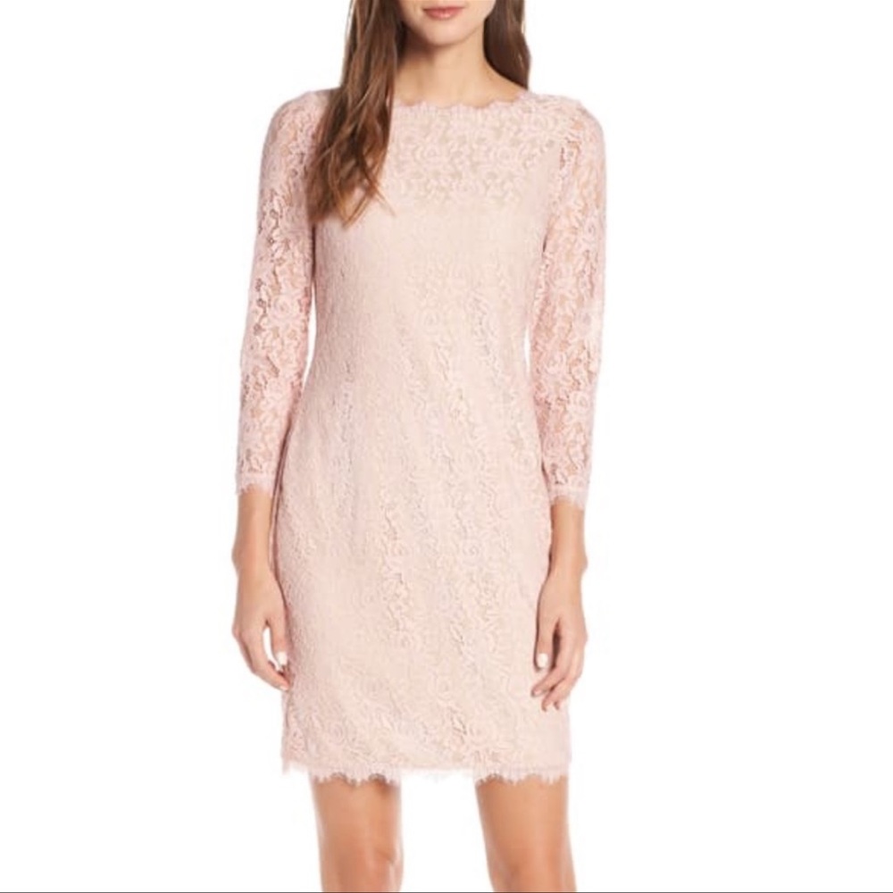 Eliza J Embroidered Lace Sheath Blush Dress 642